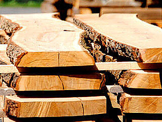 Holz trocknen und lagern